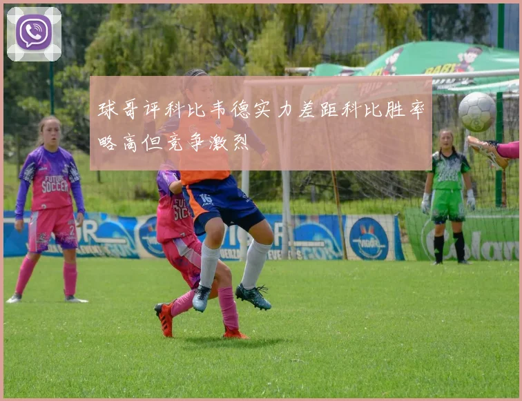 球哥评科比韦德实力差距科比胜率略高但竞争激烈