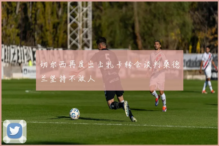 切尔西再度出击扎卡转会谈判桑德兰坚持不放人
